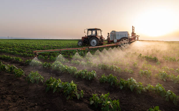 Pest Control for Restaurants in Vineyard, CA